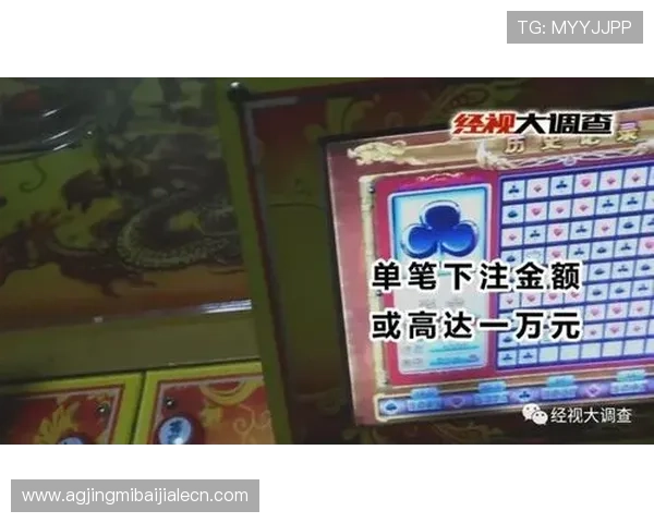 学习pa视讯百家乐的科学下注方法,提升您的长期盈利能力