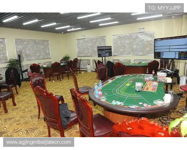 亚星百家乐现场版用户评价与体验分享，真实玩家讲述现场版游戏的精彩瞬间与心得体会